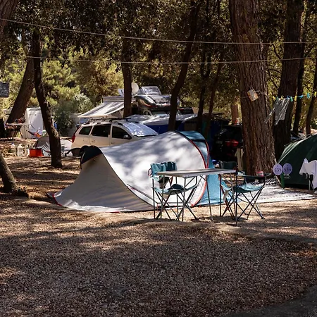 Porton Nature Hideouts Pitches