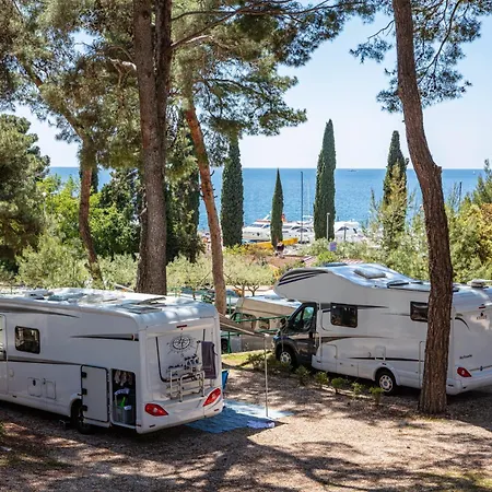 Porton Nature Hideouts Pitches Campsite *