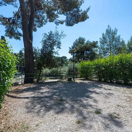Porton Nature Hideouts Pitches