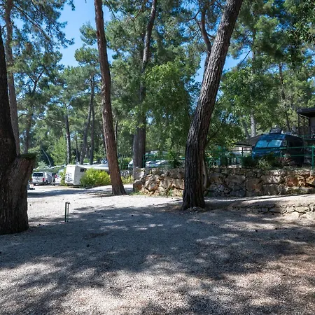 Porton Nature Hideouts Pitches