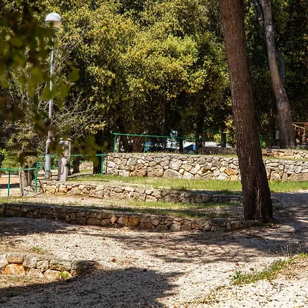 Kamp alanı Porton Nature Hideouts Pitches *